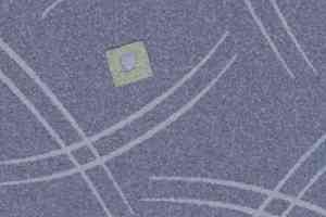 Линолеум Tarkett Арсенал Savanna 5 фото  | FLOORDEALER